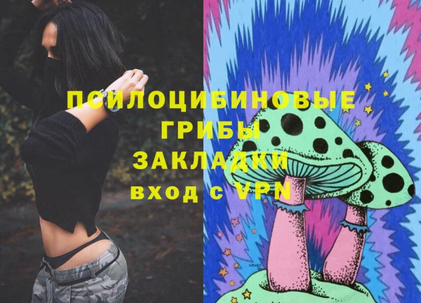 тгк Зеленокумск