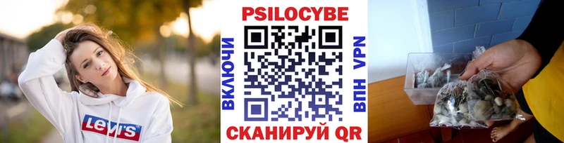 Купить  Полесск  Галлюциногенные грибы мицелий 
